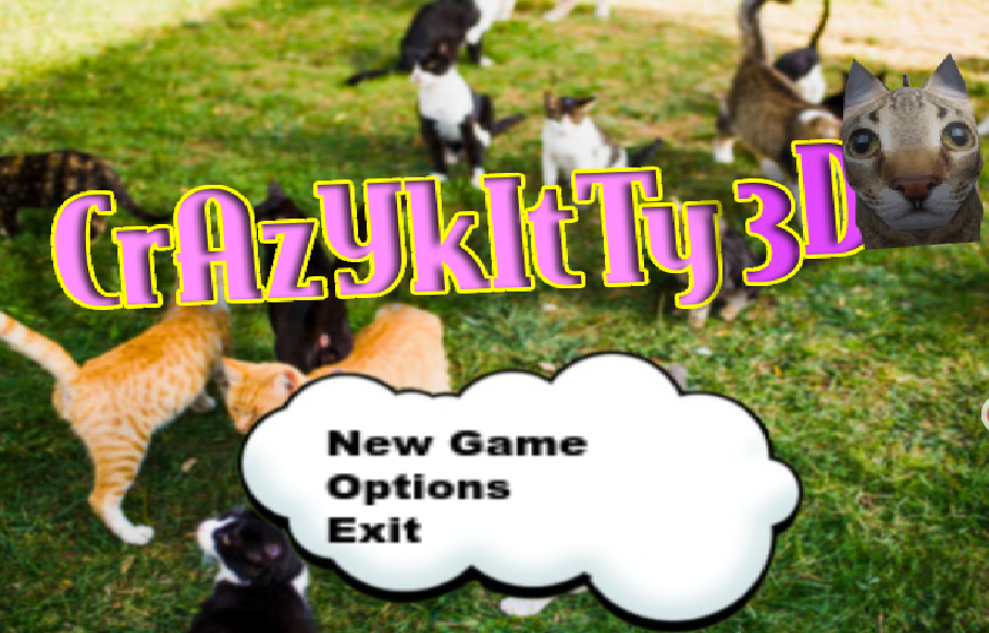 크레이지 고양이 3D (Crazy Kitty 3D)